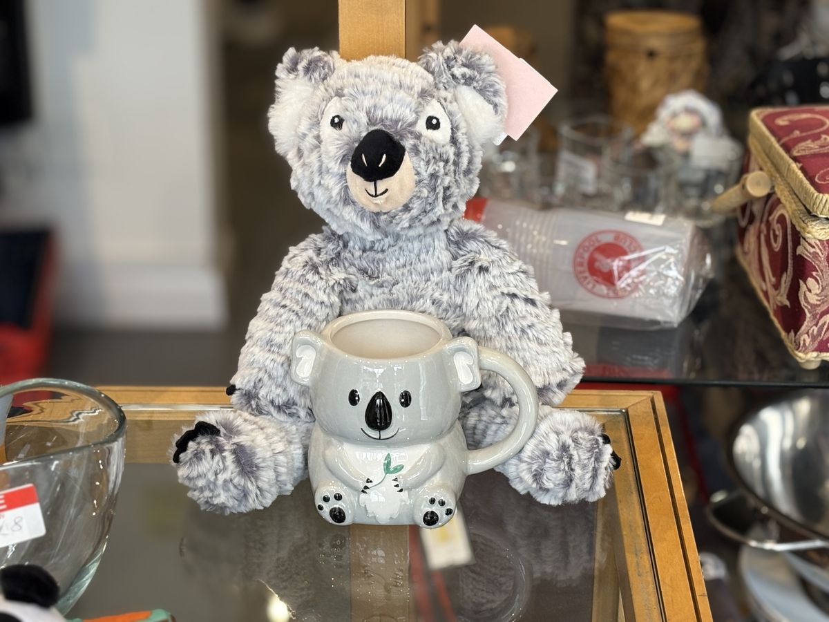 Koala in charity shop